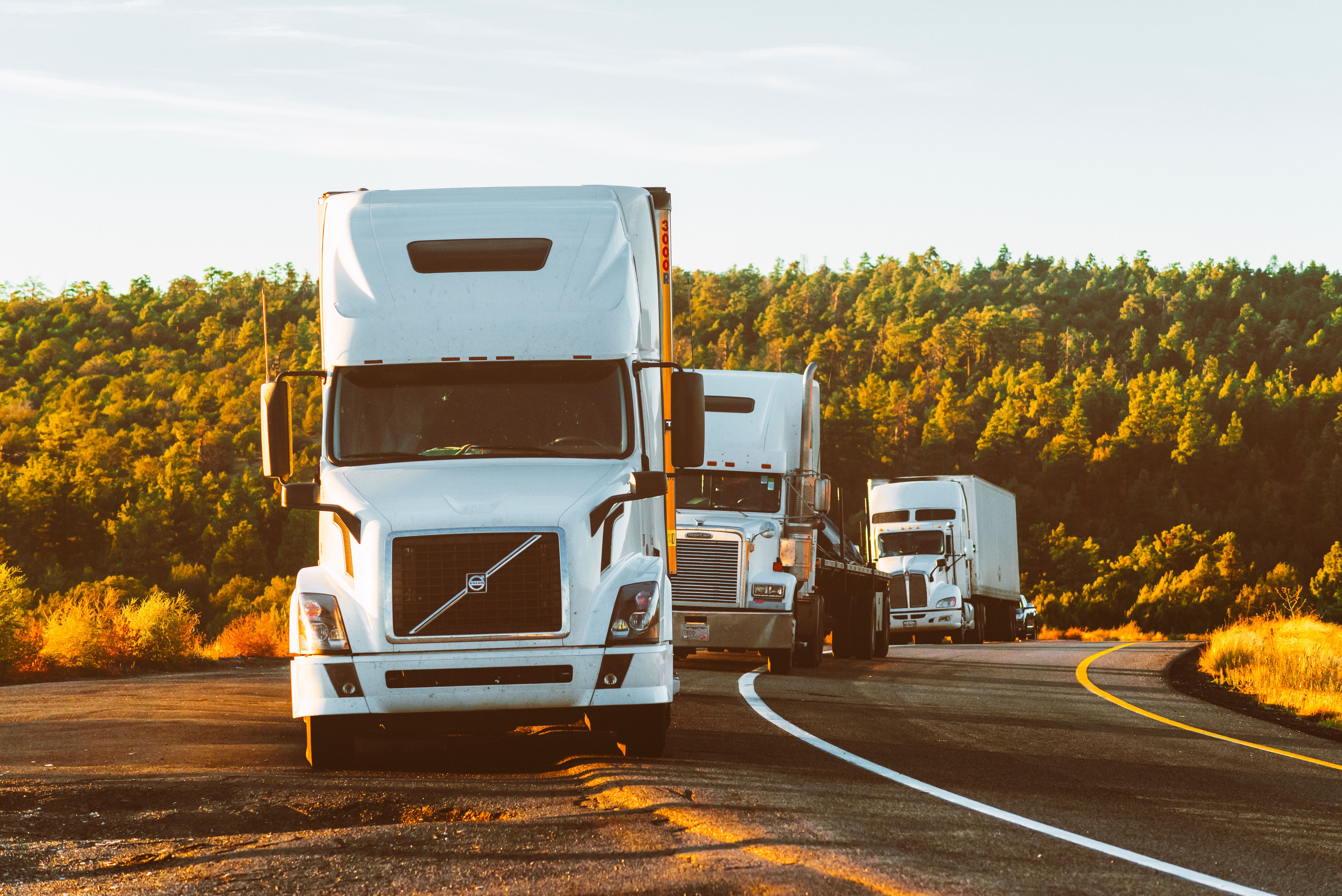 Road Transport